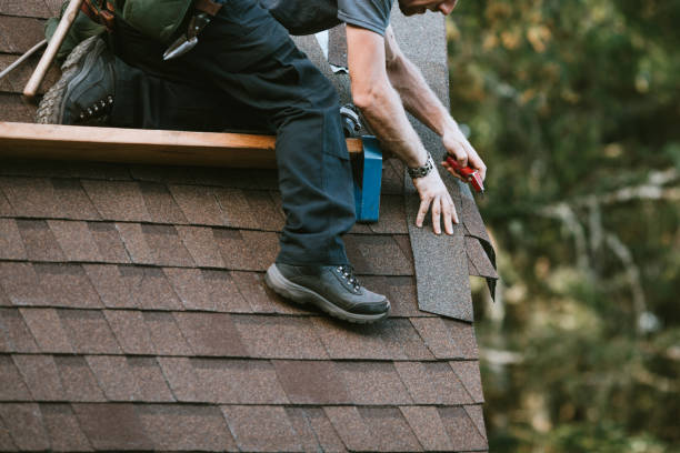 Quick and Trustworthy Emergency Roof Repair Services in Oakleaf Plantation, FL